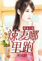 霸道总裁:辣妻哪里跑